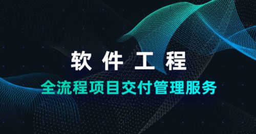 码智护航 新第三方数字技术服务全面赋能政府数字化转型