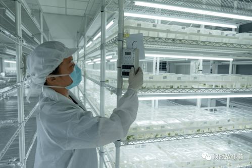 这届年轻人有多野 从空姐、海归到AI博士，数字技术重塑新农人图景